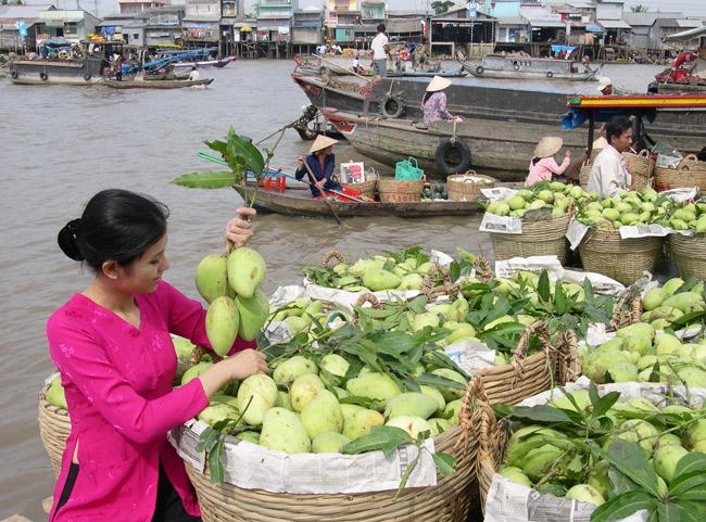 Du lịch 6 tỉnh miền Tây  ” Mỹ Tho – Bến Tre – Cần Thơ – Sóc Trăng – Bạc Liêu – Cà Mau “