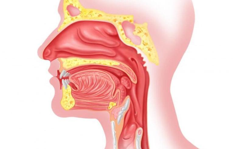 PGS.TS. Bác sĩ Nguyễn Thị Hoài An