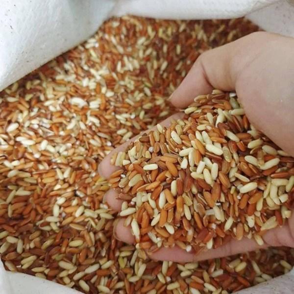 Cách làm thanh gạo lứt ngũ cốc cho người ăn kiêng tại nhà