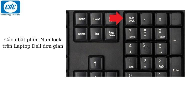 phim-numlock-tren-laptop-dell (01)