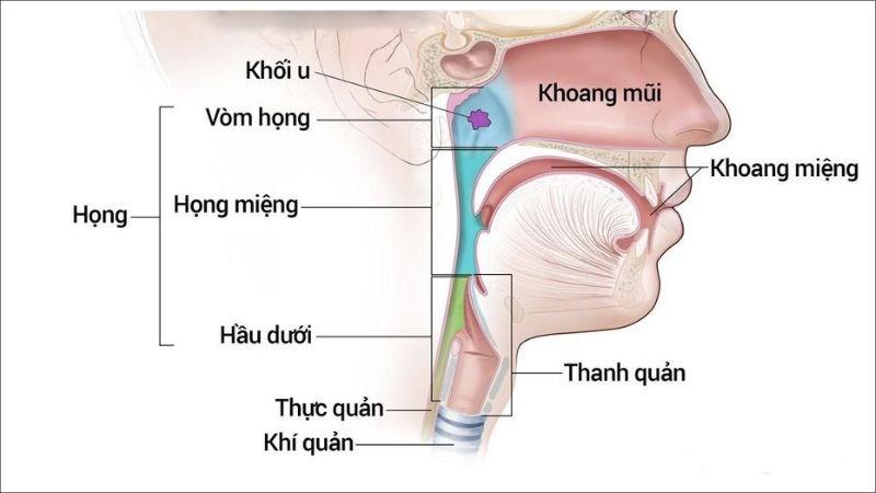 8 xét nghiệm chẩn đoán ung thư vòm họng giúp phát hiện bệnh sớm nhất