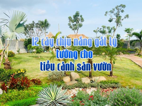 12 Cây Chịu Nắng Gắt Lý Tưởng Cho Tiểu Cảnh Sân Vườn