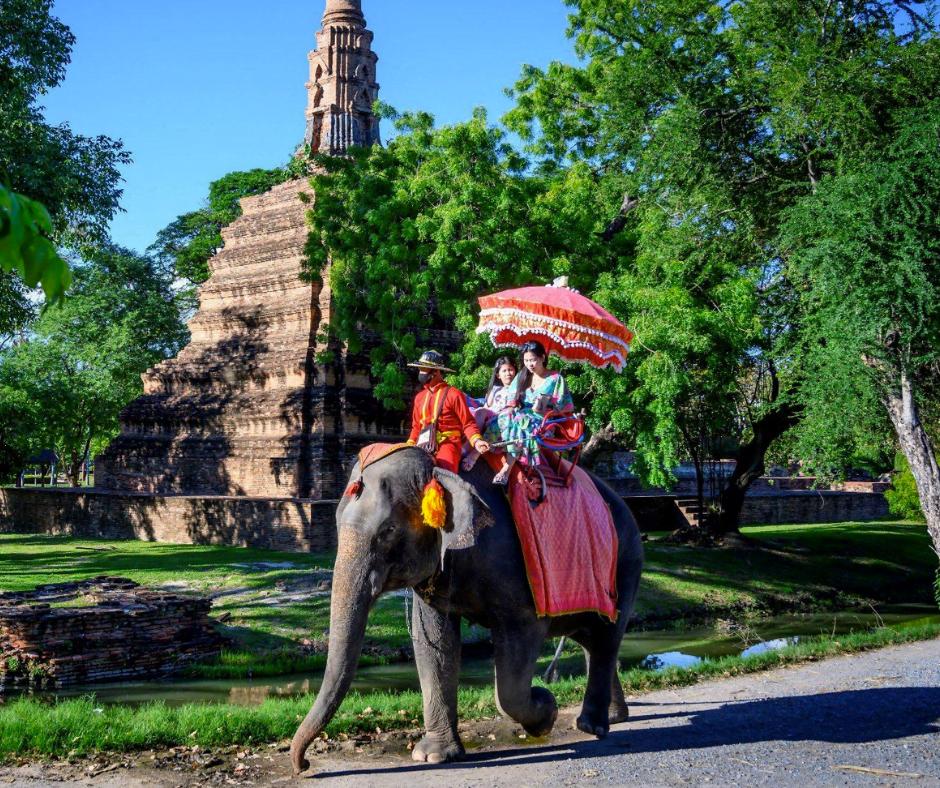 Loài vật được tôn trọng đặc biệt trên toàn lãnh thổ Thái Lan