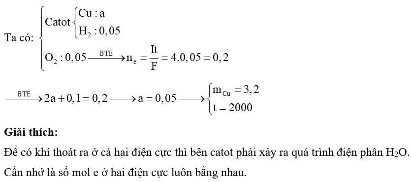 SGK, sách ôn thi, sách tham khảo giá rẻ