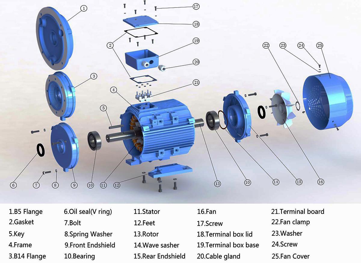 Định nghĩa, cấu tạo và công dụng của motor - động cơ điện không đồng bộ 3 pha