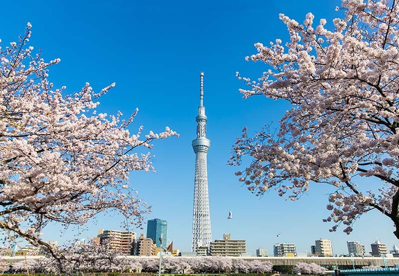 Tháp truyền hình Tokyo Skytree