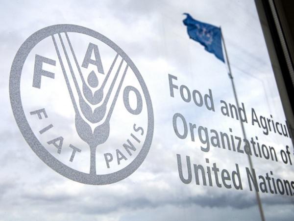 FAO là gì? Mục tiêu và vai trò của tổ chức Nông lương Liên Hiệp Quốc