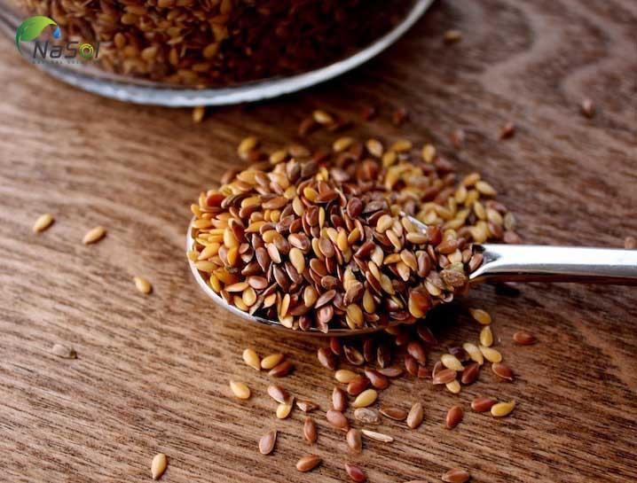 Flax seed oil – 10 công dụng của dầu hạt lanh với cơ thể