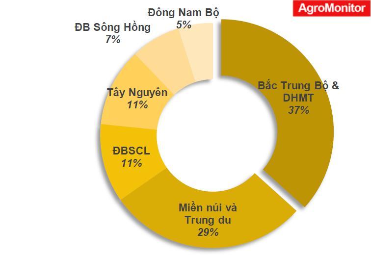 Hiện trạng,  định hướng và các giải pháp phát triển chăn nuôi gia súc lớn của Việt Nam trong thời gian tới