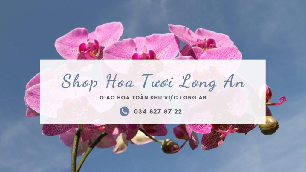 Shop Hoa Tươi Long An | Điện hoa Long An
