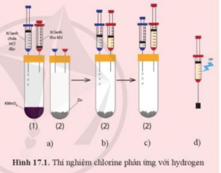 Bài 17. Nguyên tố và đơn chất halogen trang 99, 100, 101, 102, 103, 104, 105, 106, 107, 108 Hóa 10 Cánh diều</>