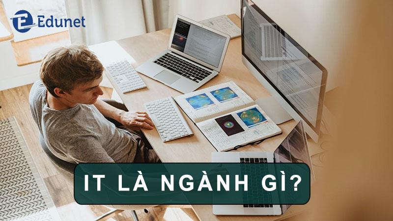 It là ngành gì? học gì? ra trường làm gì?