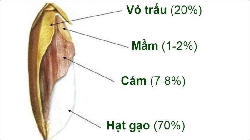 Bún gạo lứt bao nhiêu calo? Giảm cân có nên ăn không?