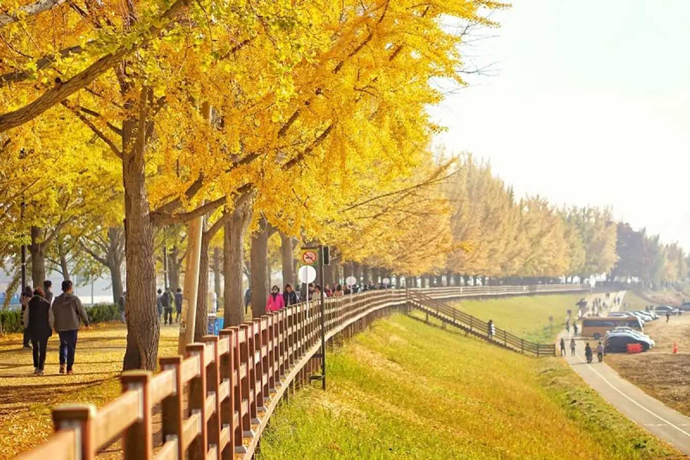 Mùa thu Hàn Quốc vào tháng mấy? Những địa điểm du lịch Hàn Quốc mùa thu lãng mạn và thơ mộng 