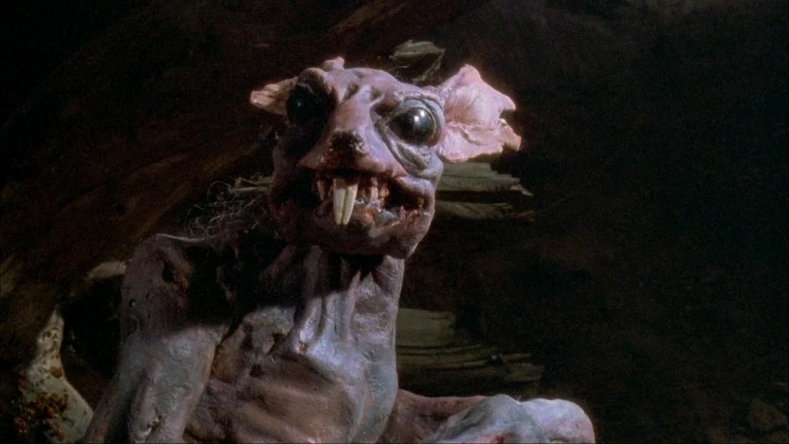 Nhà số 10 phố Wellington – Braindead / Dead Alive (1992)