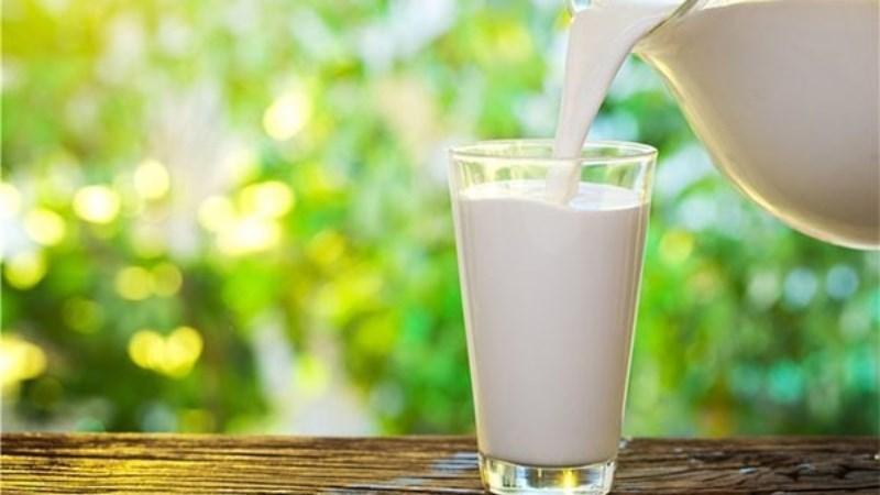 Sữa ông thọ bao nhiêu calo? Uống sữa ông thọ có tăng cân không?