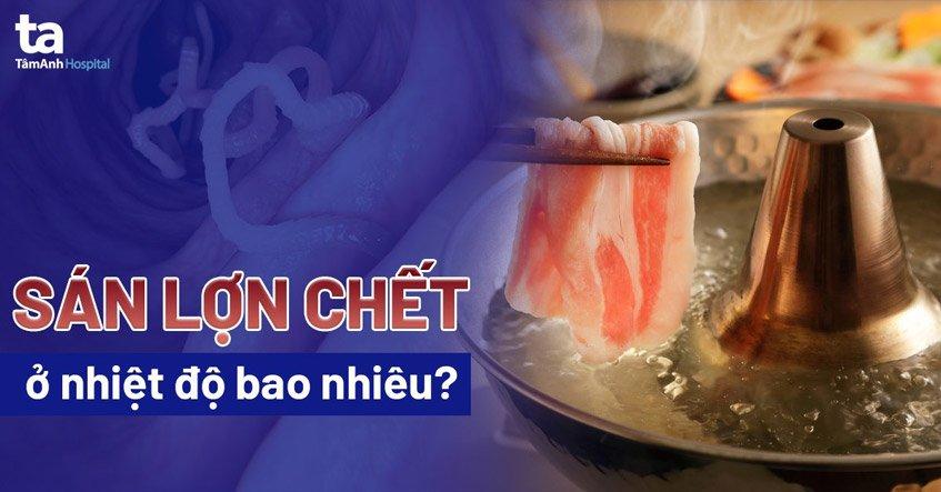 Sán lợn chết ở nhiệt độ bao nhiêu