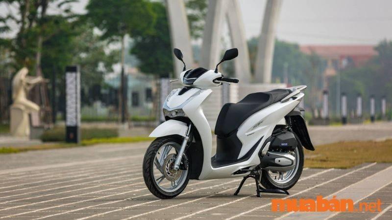 Mua Bán Xe SH Cũ Tại TP.HCM Uy Tín, Giá Rẻ T6/2024