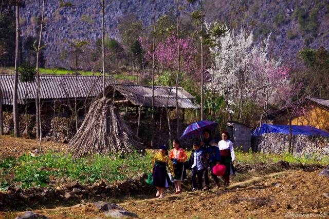 Tết của người Mông nơi cực Bắc Tổ quốc