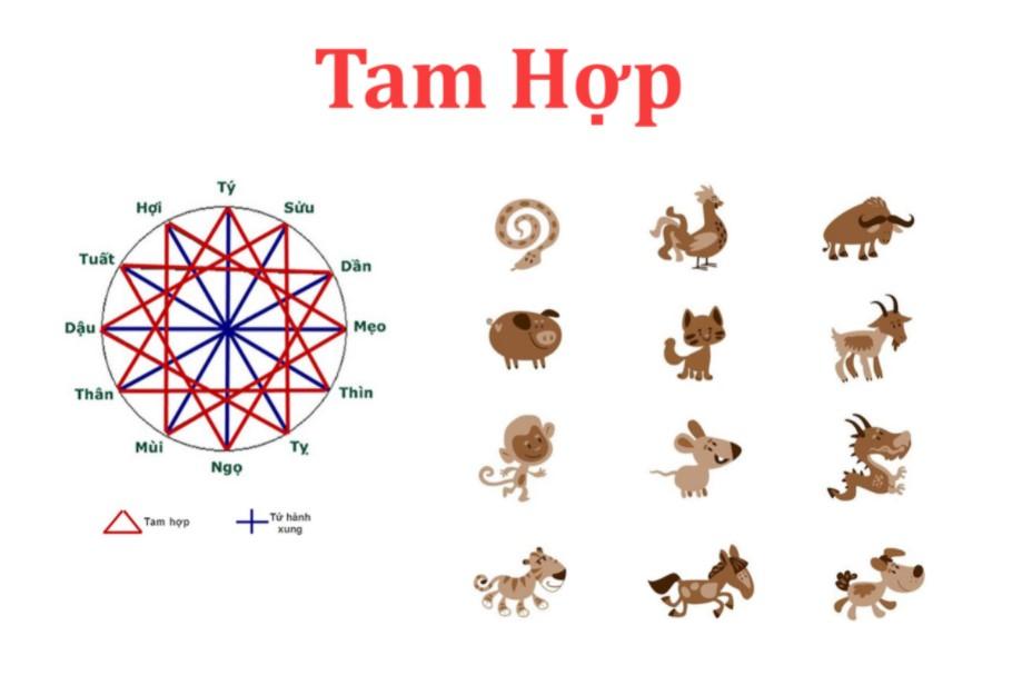 Những điều cần biết về tam hợp tuổi Thân Tý Thìn