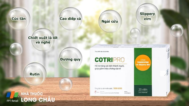 COTRIPRO THÁI MINH 2X10 2