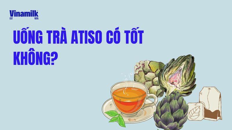 UỐNG TRÀ ATISO CÓ TỐT KHÔNG? UỐNG TRÀ ATISO BAO NHIÊU LÀ ĐỦ?