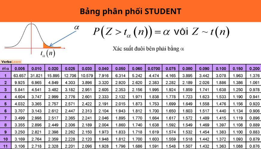 Bảng phân phối Student: Cách tra và các bài tập ứng dụng