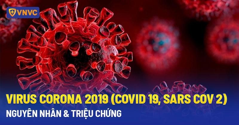 virus corona 2019