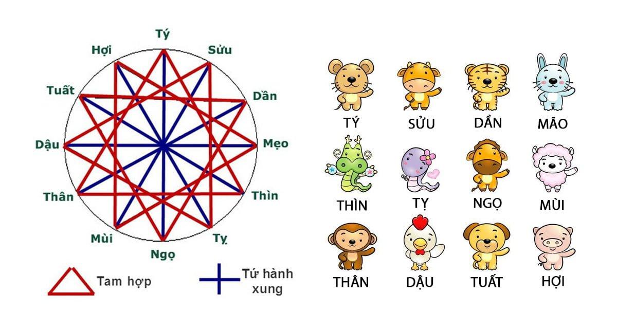 Tam hợp là gì? Tứ hành xung là gì? 12 con giáp trong tam hợp tứ hành xung