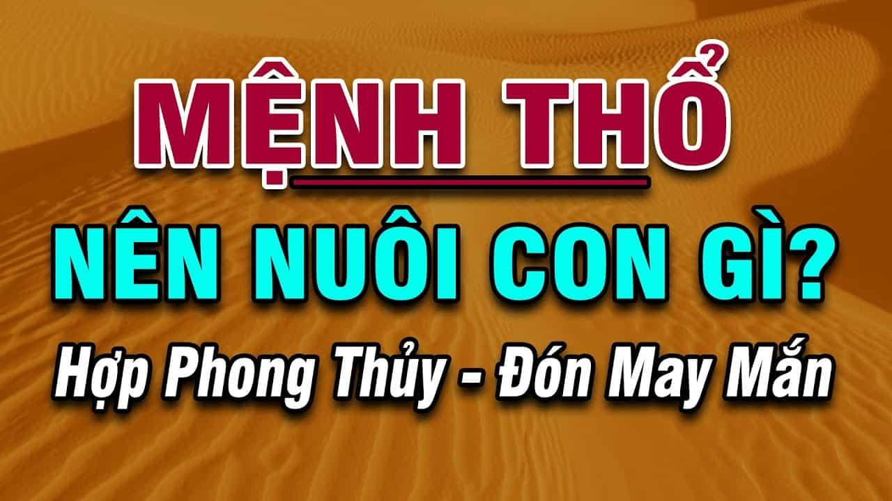 Mệnh Thổ nuôi con gì hút tài lộc?