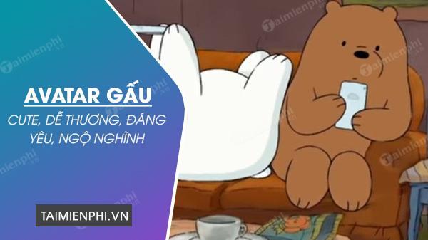 Bộ sưu tập hình đại diện Gấu dễ thương, đáng yêu, hài hước