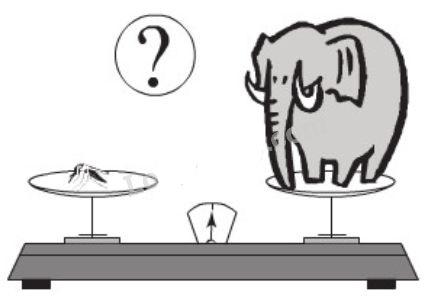 Bài 11, 12, 13, 14, 15, 16 trang 11, 12 SGK Toán 9 tập 1 - Luyện tập