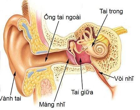 Các phương pháp điều trị bệnh viêm tai giữa