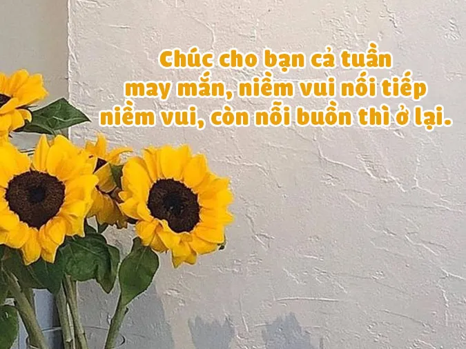 Chúc may mắn 2