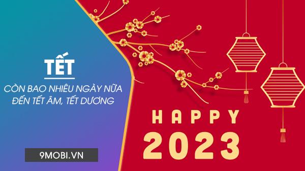 Bao nhiêu ngày nữa là đến Tết ta 2023?