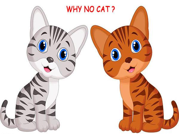 Truyền thuyết 12 con giáp: Cuộc đua huyền thoại đến Thiên Môn