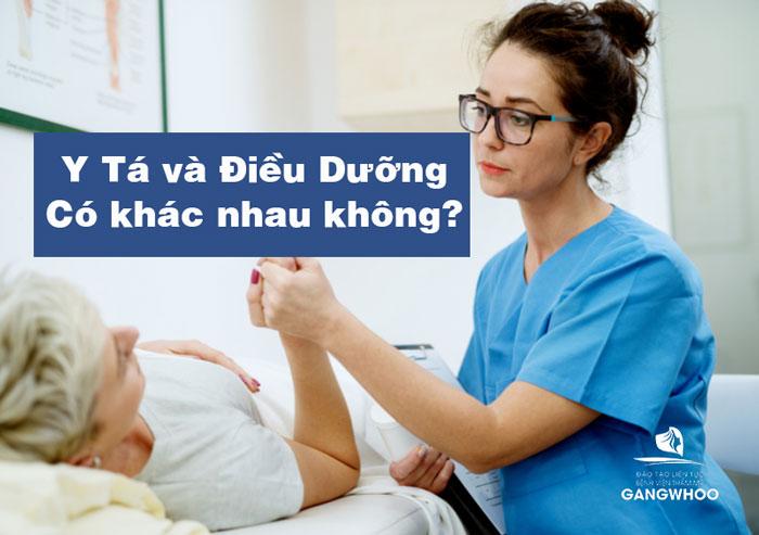 Y tá và điều dưỡng có khác nhau không