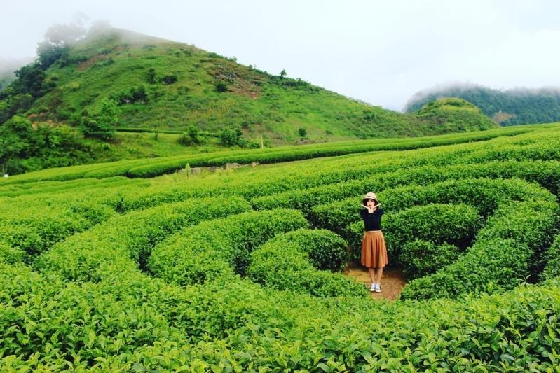 Kinh nghiệm du lịch Mộc Châu tháng 5