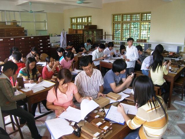 Tìm hiểu chuyên ngành Công nghệ chế biến lâm sản