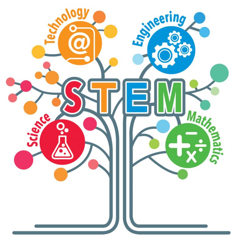 STEM là gì? Giáo dục stem là gì? 3 mức độ triển khai vào chương trình giáo dục