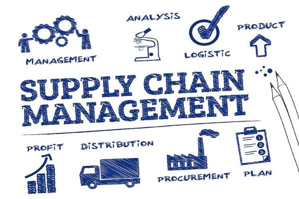 Logistics và quản lý chuỗi cung ứng là gì? Cơ hội việc làm ra sao