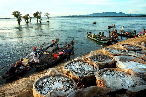 Mùa Nước Nổi Miền Tây Và Những Điều Thú Vị Mà Bạn Có Thể Chưa Biết