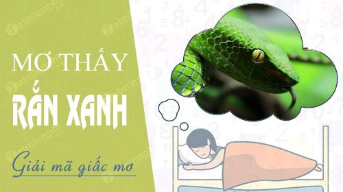 Mơ thấy rắn xanh lục đánh con gì?