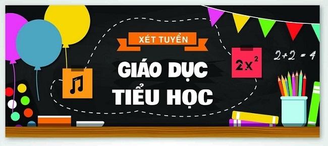 các trường có ngành giáo dục tiểu học