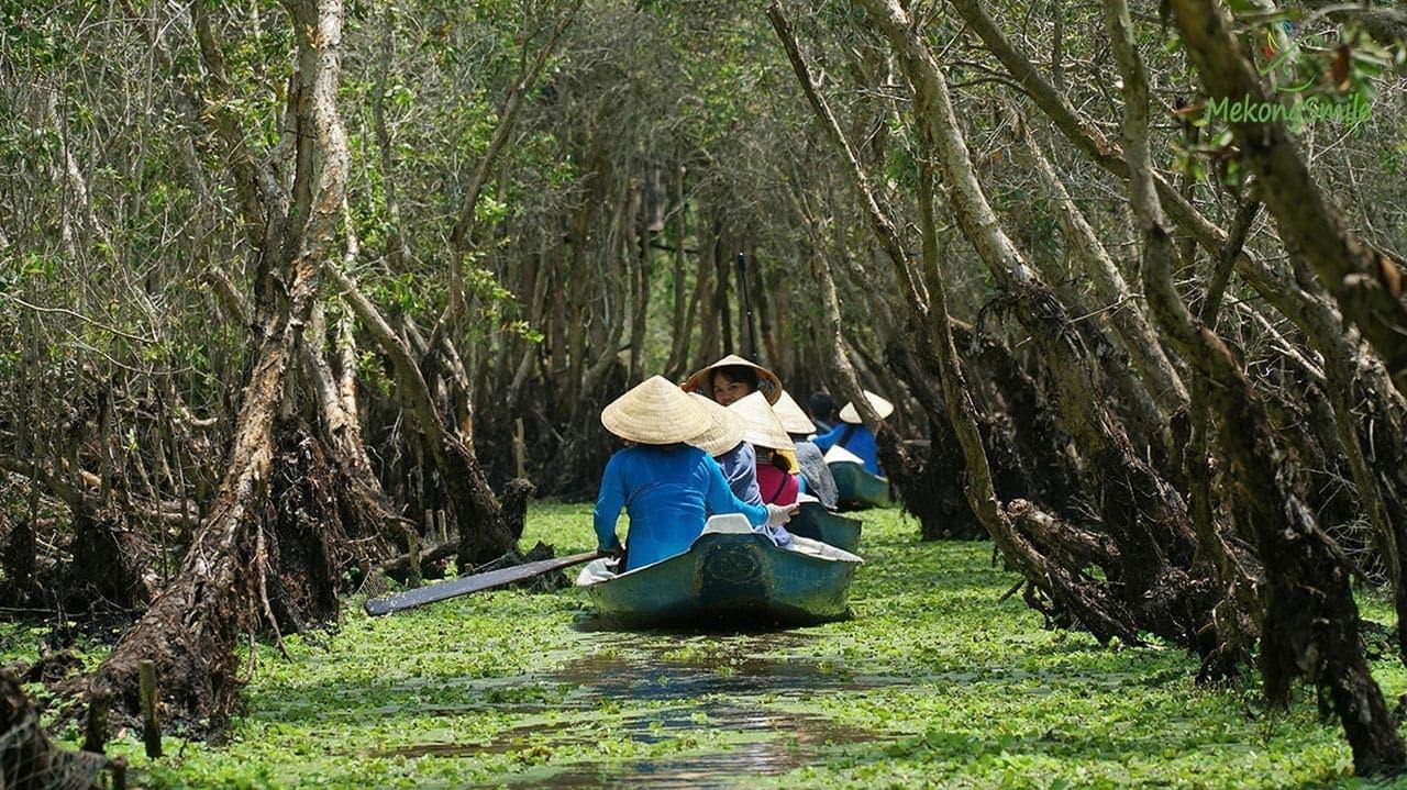 Rừng tràm Trà Sư An Giang – Khám phá khu rừng đẹp nhất miền Tây