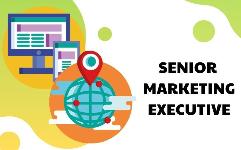 senior marketing executive là gì