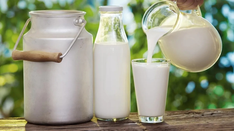 Skim milk là gì? Cần lưu ý gì khi sử dụng skim milk?