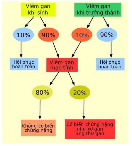 Bệnh viêm gan siêu vi B và các đường lan truyền của bệnh