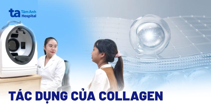 Collagen là gì? 10 vai trò và tác dụng của collagen với cơ thể người