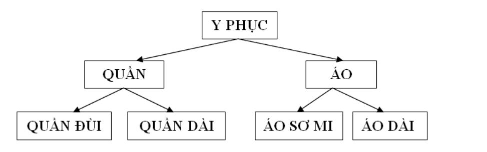 cap-do-khai-quat-nghia-cua-tu